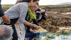Relatives of 1985 Air India crash victims lay wreaths at ceremony in West Cork