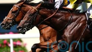 Champions Day seen as an &lsquo;obvious&rsquo; target for Docklands