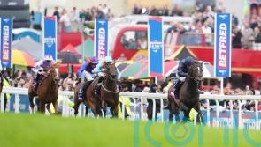 Middleham Park looking to the Curragh skies for Lazy Griff
