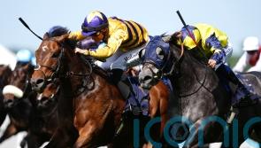 Frost At Dawn has Breeders&rsquo; Cup as big end-of-season target