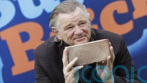 Brendan Gleeson does not regret Micheal Martin &lsquo;moron&rsquo; outburst