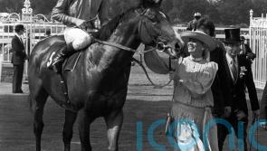 Steve Cauthen salutes &lsquo;mentor&rsquo; Barry Hills with memories of special relationship