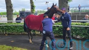 O&rsquo;Brien hoping Daytona can secure &lsquo;special&rsquo; Naas success