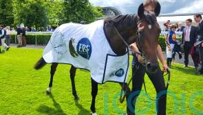 Daytona races to Smullen success at Naas