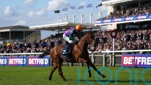 Bell banking on Spicy Marg proving too hot to handle