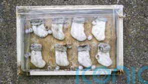 Major excavation of unmarked grave of babies and young children under way