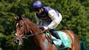 Royal Fixation handed Lowther mission at York