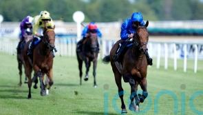 Wise Approach makes his mark in Newbury feature