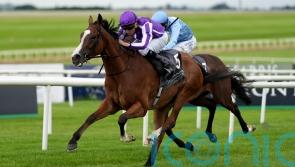 Minnie Hauk makes it a Classic double with battling Curragh victory