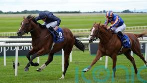 Action-packed Curragh Eyecatcher one to follow