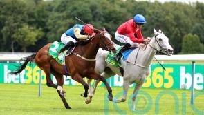 Setback signals the end of Scenic&rsquo;s racing career