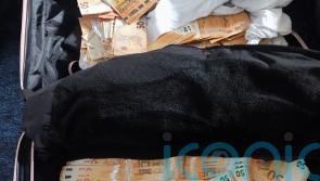 Three men arrested after gardai find almost 350,000 euro cash in suitcase