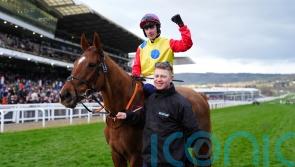 Collins confident Cobden is the right fit for Jazzy Matty