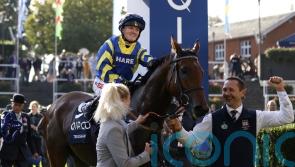 Trueshan suffers fatal injury in Goodwood Cup