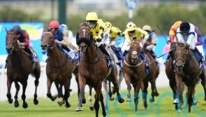 Westridge powers clear in Chesterfield Cup