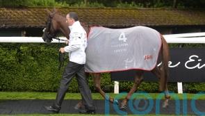 Murphy so proud of Cercene and gallant Nassau effort