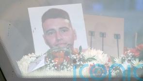 Tanaiste to meet mother of murdered peacekeeper