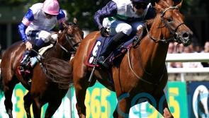 Jel Pepper among strong British contingent in Ballyhane Stakes