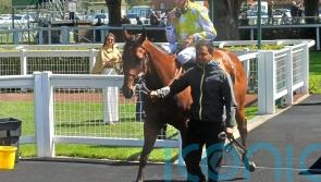 Tudhope backs up Group One strike with Ripon double