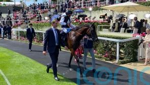 Arlington Million trip with Cairo has Haynes in dreamland