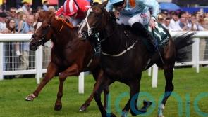 Half Million bid on the horizon for Anthelia