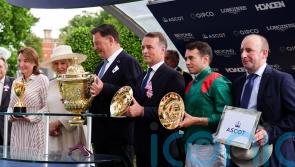 Daryz handed International mission at York