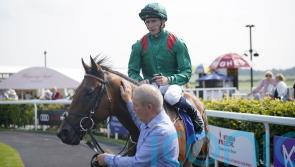 Zahrann advertises big-race credentials in Royal Whip