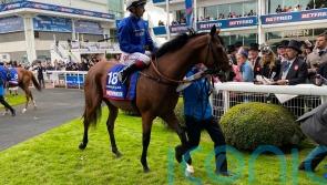 Tornado Alert enjoying well-deserved break