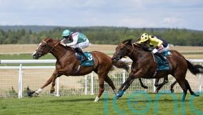 Qirat supplemented for Rosallion rematch at York