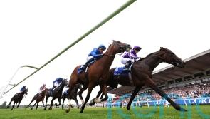 Eclipse one-two all set for International rematch at York