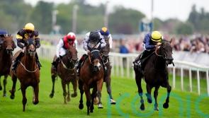 Trefor enters Ayr Gold Cup reckoning after York success