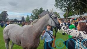 Estrange keeps Arc hopes afloat with Yorkshire Oaks run