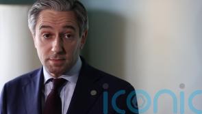 Fine Gael minister backs Harris amid resignation call