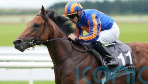 Moulin option for The Lion In Winter revival mission