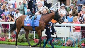 Maranoa Charlie on course for Foret challenge