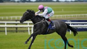 Red Letter steps up for Group Three Curragh test