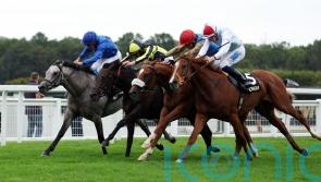 A Bit Of Spirit shows plenty of heart in thrilling Solario finish