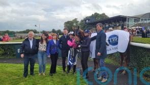 Grand Marques the ace in Abergwaun pack