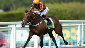 Dancing Gemini set for Prix du Moulin jaunt