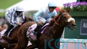 Giavellotto surprises hot favourite Kalpana in September Stakes