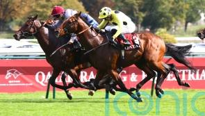 More agony for Rosallion in Moulin as Sahlan prevails