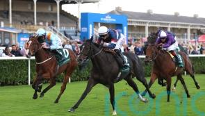 Calendar Girl could be booked for bigger things after taking Doncaster success