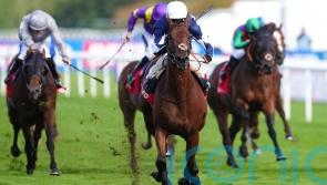 Marvelman finds top gear in Park Stakes