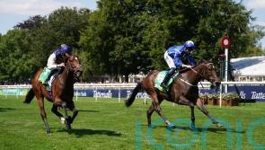 Venetian Sun set for Moyglare bid, ground permitting