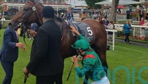 Arc hopes very much alive for back-to-form Daryz