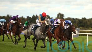 Fallen Angel firmly on course for Sun Chariot