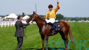 Breeders&rsquo; Cup enters the equation for Cercene