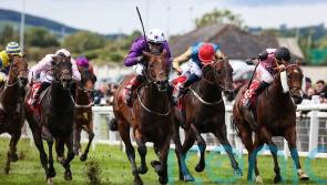 Night Raider in line for Abbaye if ground proves suitable