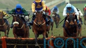 Colm Murphy pays tribute as Brave Inca dies, aged 27