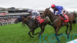 Run Boy Run completes memorable double for Spencer and Wood